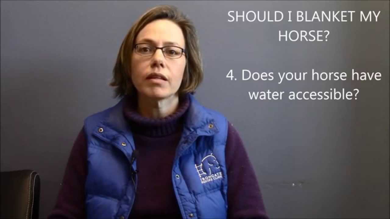 Blanketing your horse with Dr Lisa Nesson