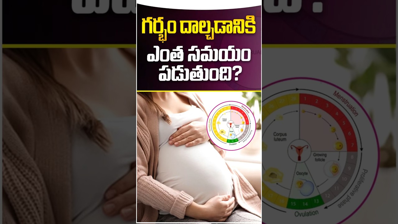 Common Signs of Ovulation in Telugu ||  Best Time to Get Pregnant #shorts #ovulationday #pregnancy
