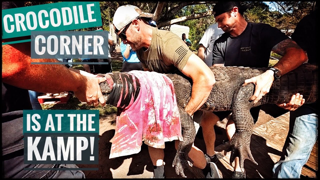 The Gators are Finally Here!