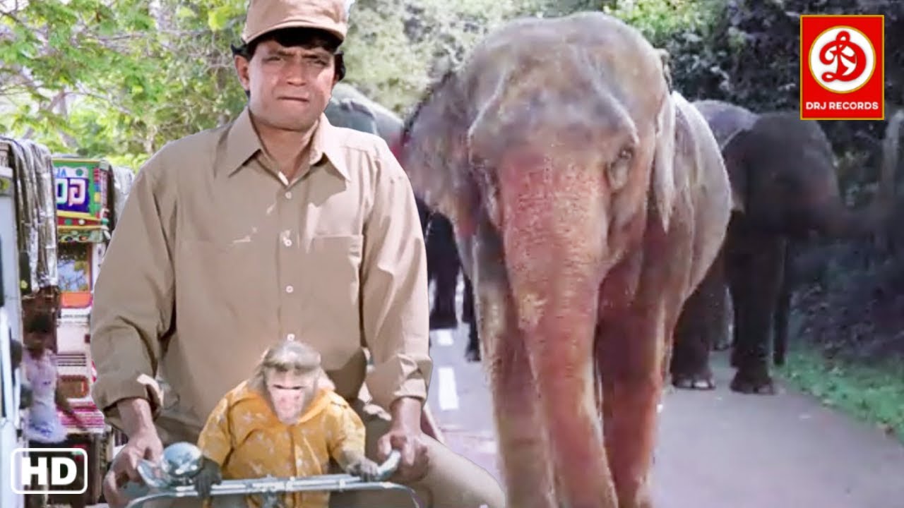 Mithun (HD)- New Blockbuster Full Hindi Bollywood Film,  Poonam Love Story | | Main Aur Mera Haathi