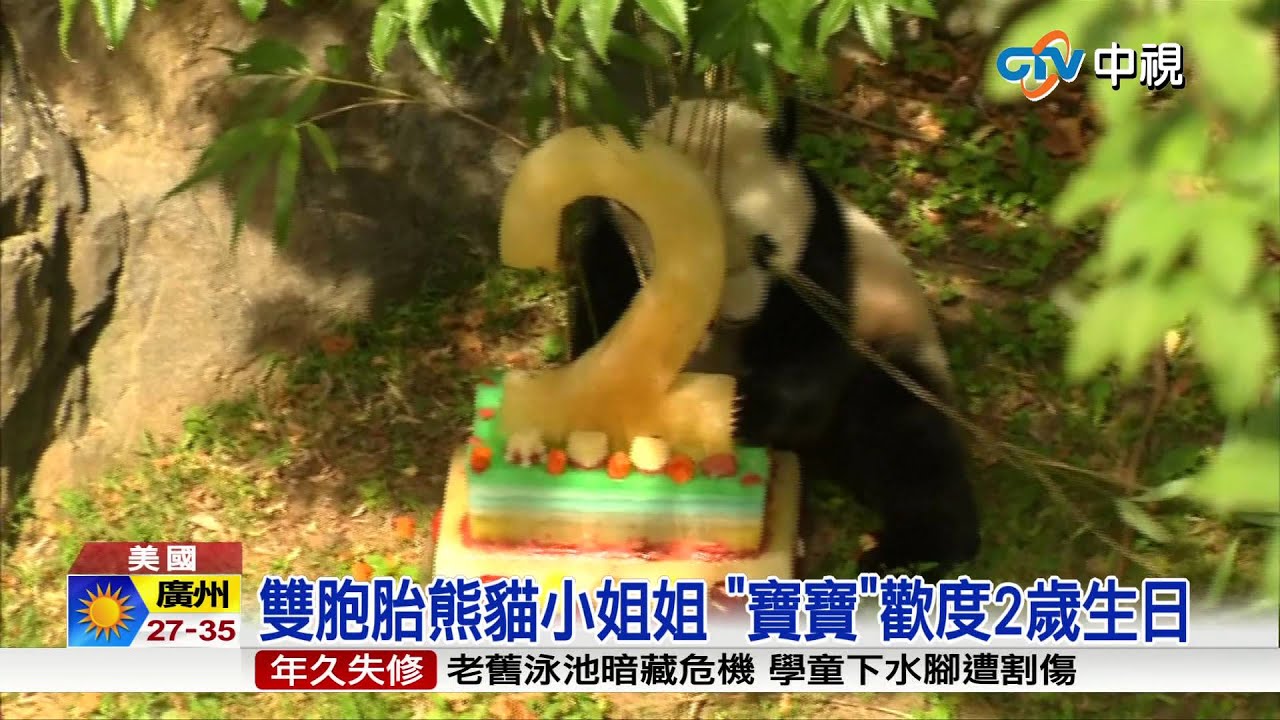 【中視新聞】 貓熊美香雙喜臨門 