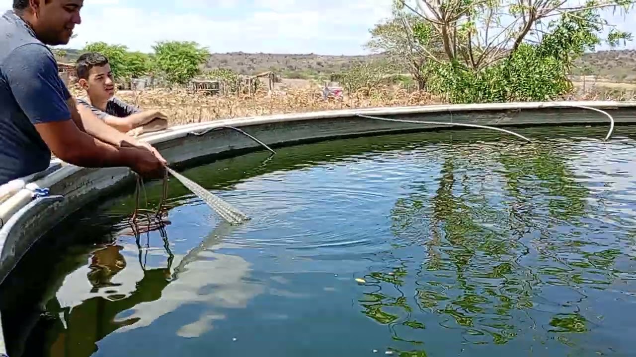 Seu roque tentando pegar uns peixes 🐟🐠 mais a tarrafa engalhou no cano 