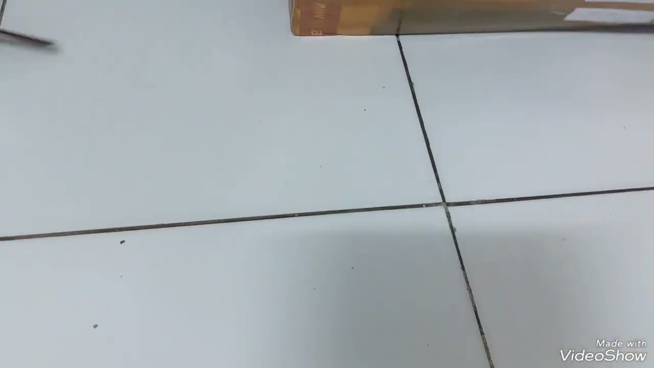 Unboxing Bibit Jambu Siumik Pala