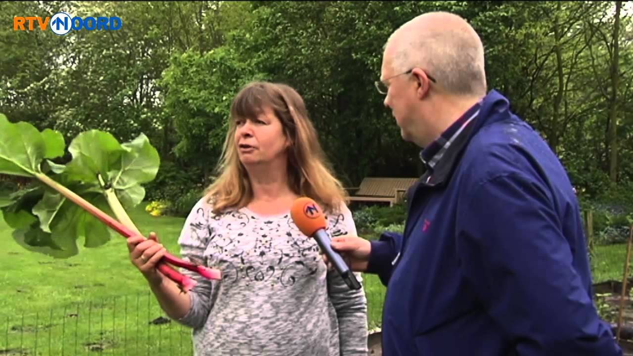 Dam Op in Ter Wupping [17-5-2014] - RTV Noord