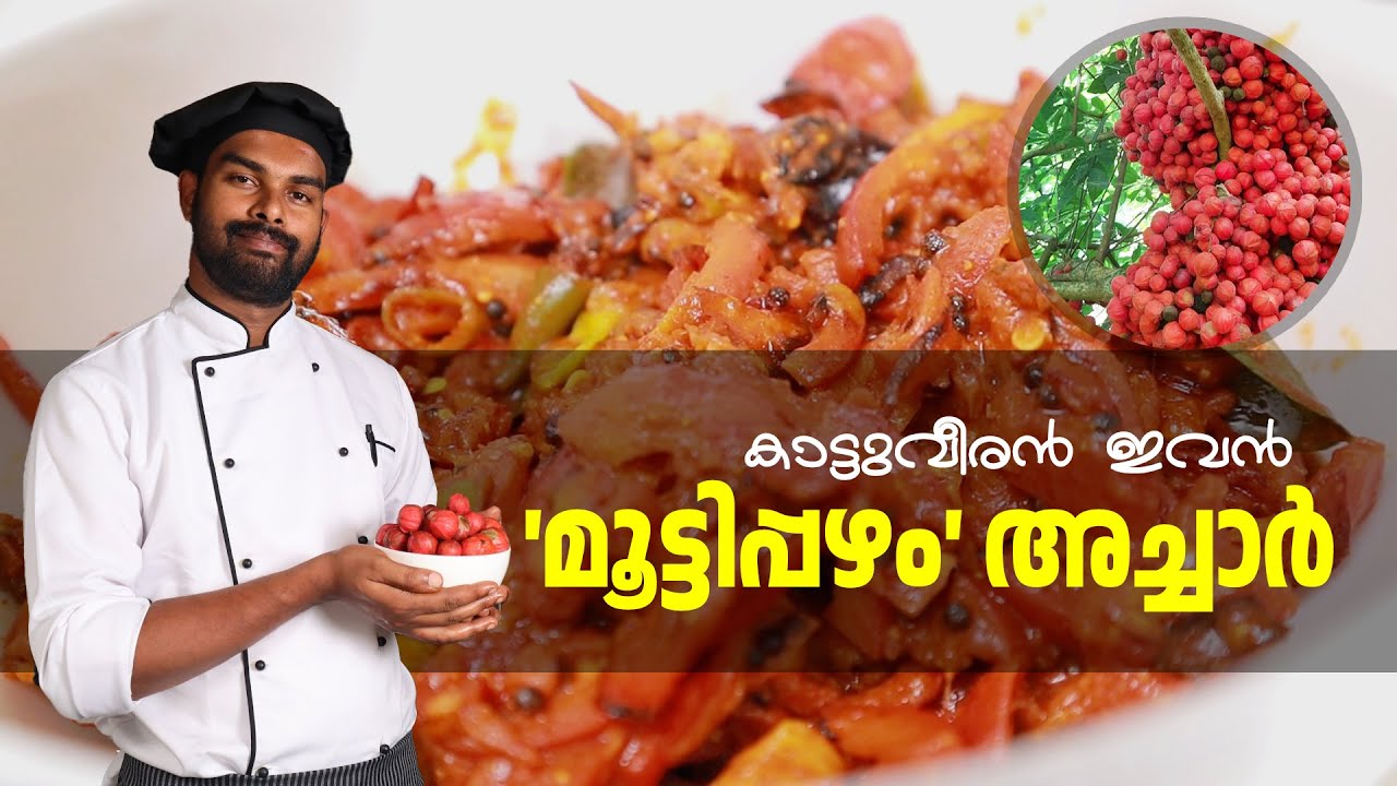 കാട്ടുവീരൻ  ഇവൻ 'മൂട്ടിപ്പഴം' അച്ചാർ | GOODWILL PACHAKAM