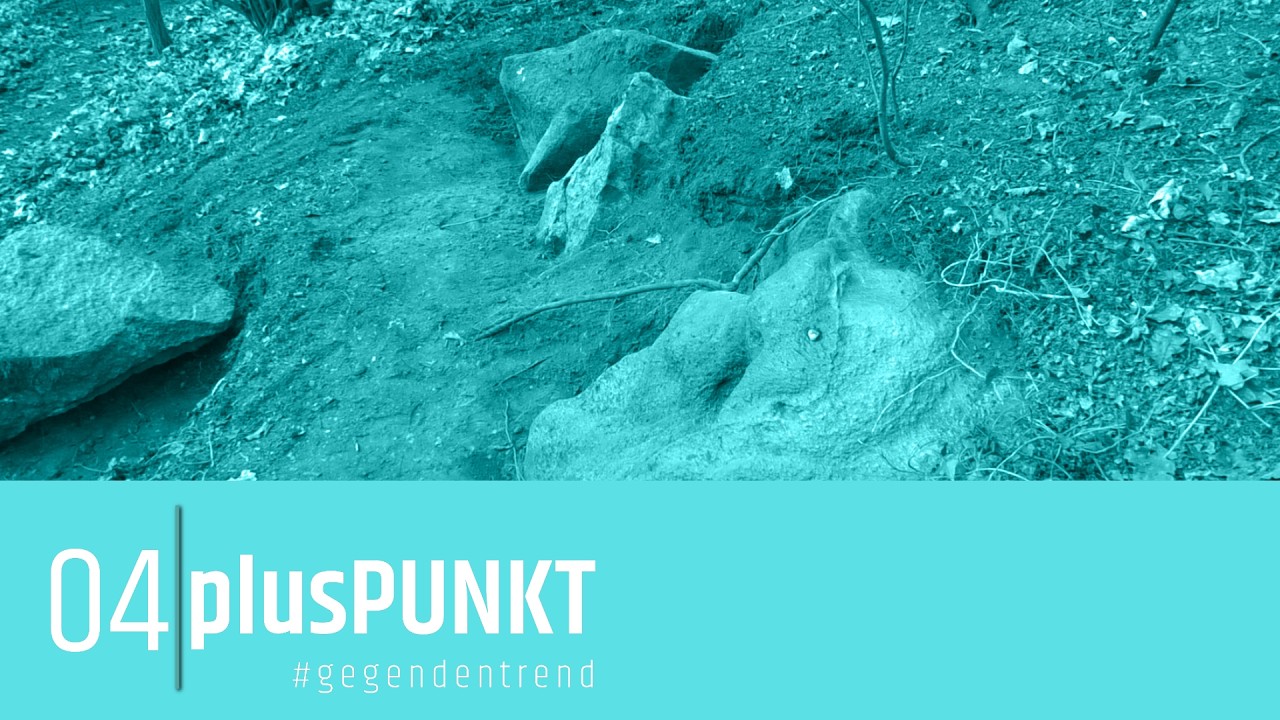 plusPUNKT: 15 миллионов лет истории стали видны в Хохнштедте
