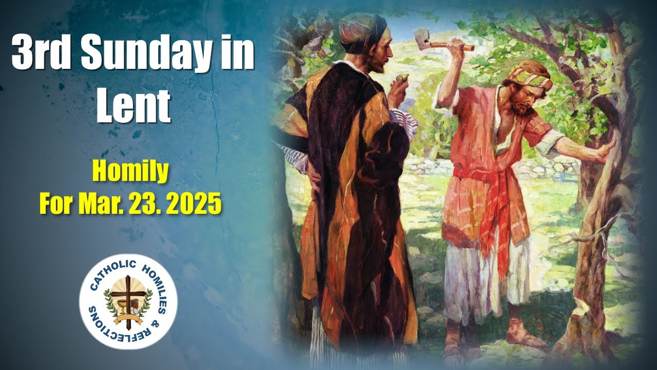 3rd Sunday in Lent/ Year C/ Homily for March 23. 2025