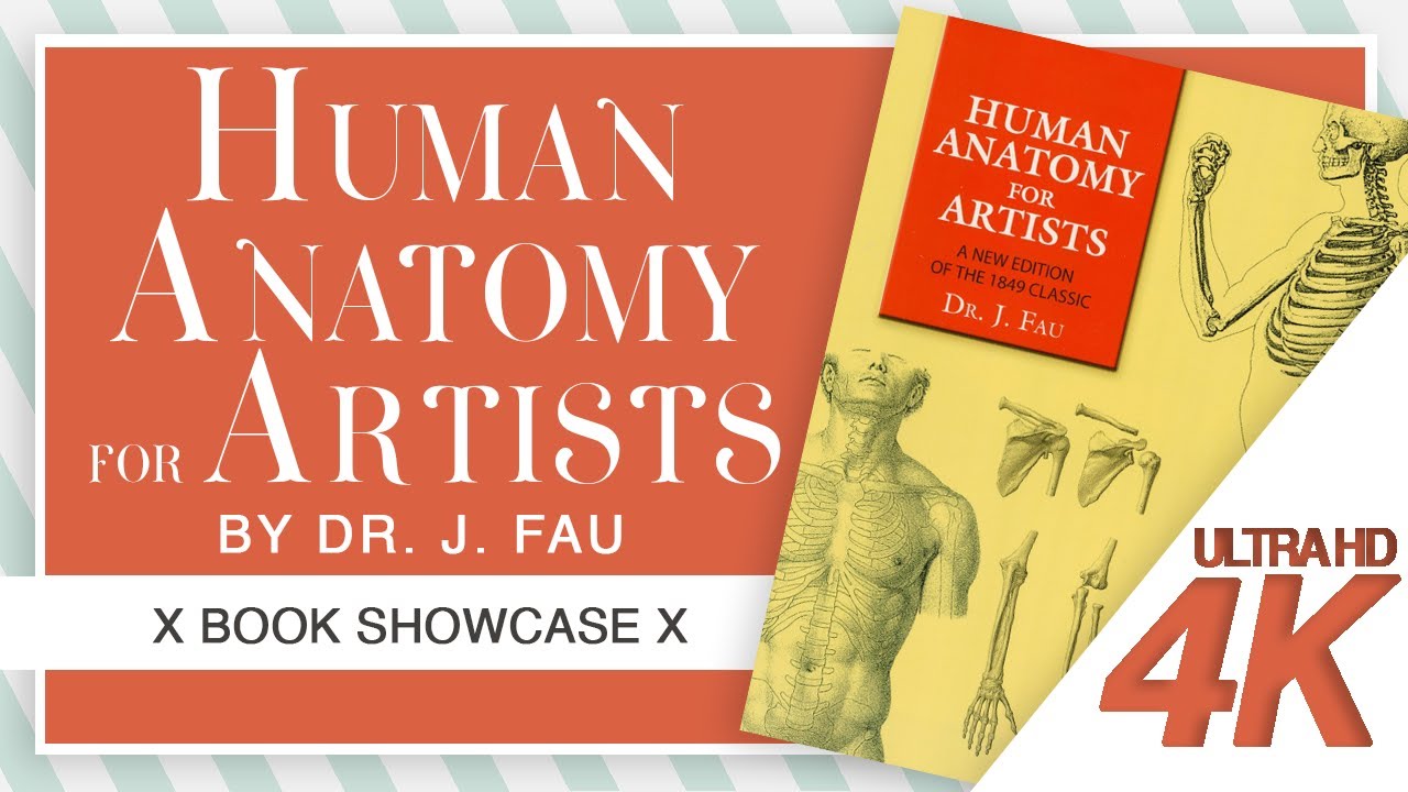 Human Anatomy for Artists by Dr. J. Frau - Book Showcase