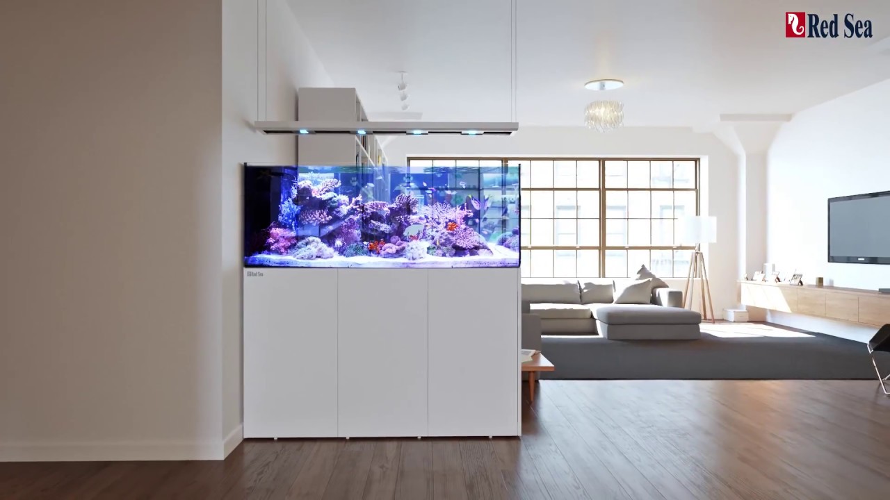 REEFER&trade; Peninsula Filterbecken