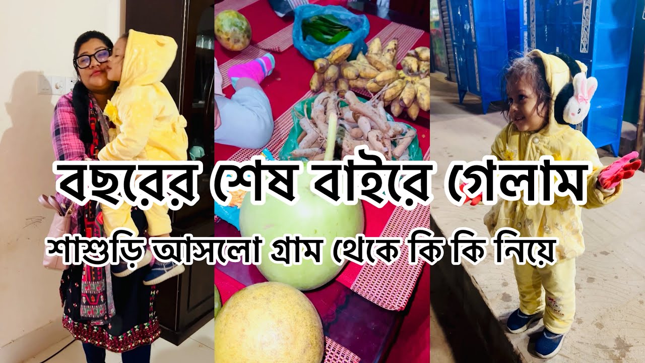 শাশুড়ি আসলো গ্রাম থেকে কি কি নিয়ে/ সোনালিকার নতুন ভিডিও
