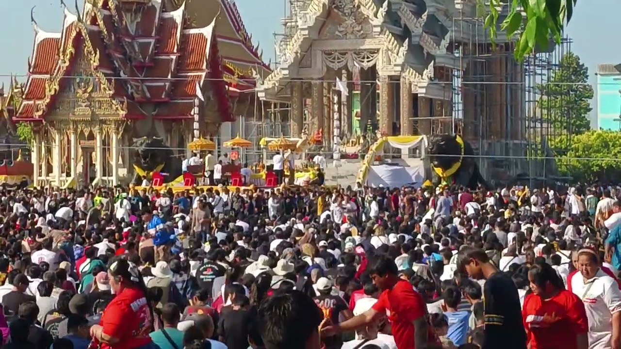บรรยากาศ #พิธีไหว้ครูหลวงพ่อเปิ่น #วัดบางพระ#อำเภอนครชัยศรี #จังหวัดนครปฐม วันเสาร์ที่ 7 มี.ค. 2569 