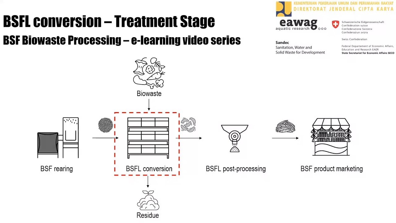 BSFL Conversion - Treatment - BSF Biowaste Processing e-learning video series