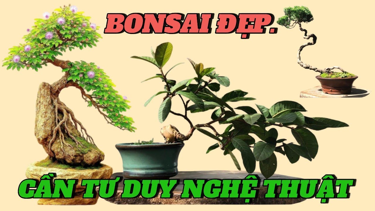 Một cây bonsai đẹp đòi hỏi sự nỗ lực trong việc tạo hình và cũng cần có tư duy nghệ thuật