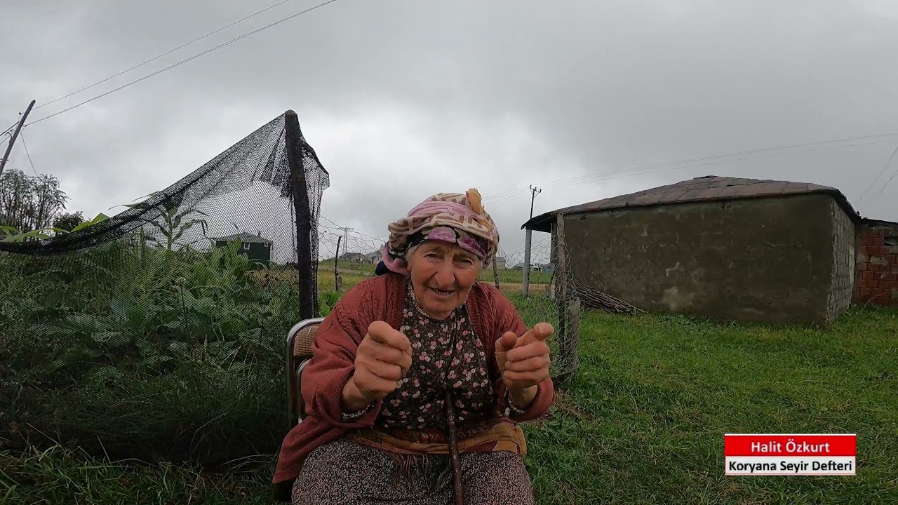 Yavuzköy Düz Yayla 