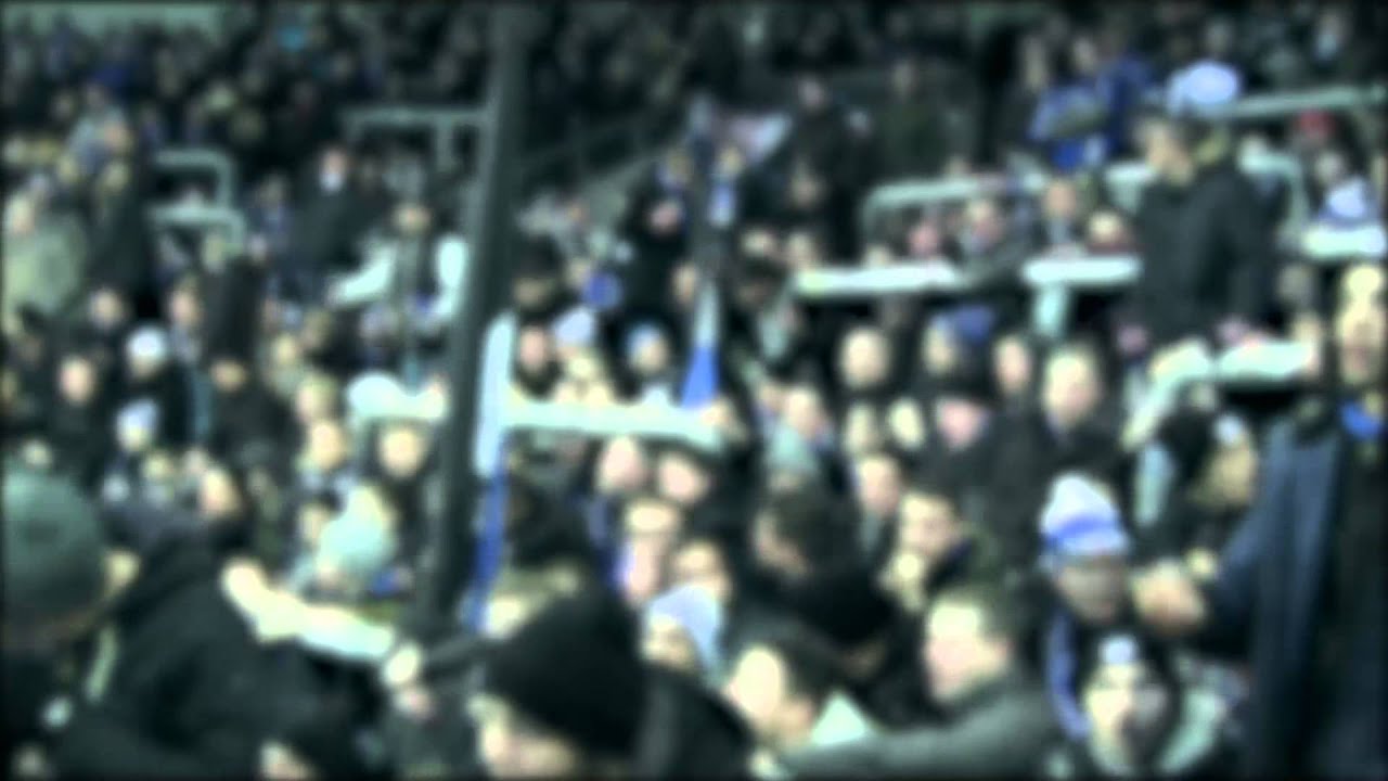 Chemie Halle - DSC Arminia Bielefeld | 13.12.2014