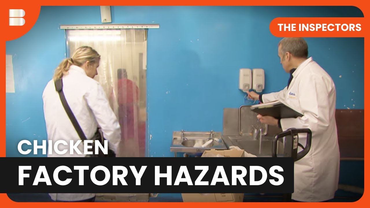 Unsanitary Poultry Factory Inspection - The Inspectors - S03 EP05 - Reality TV