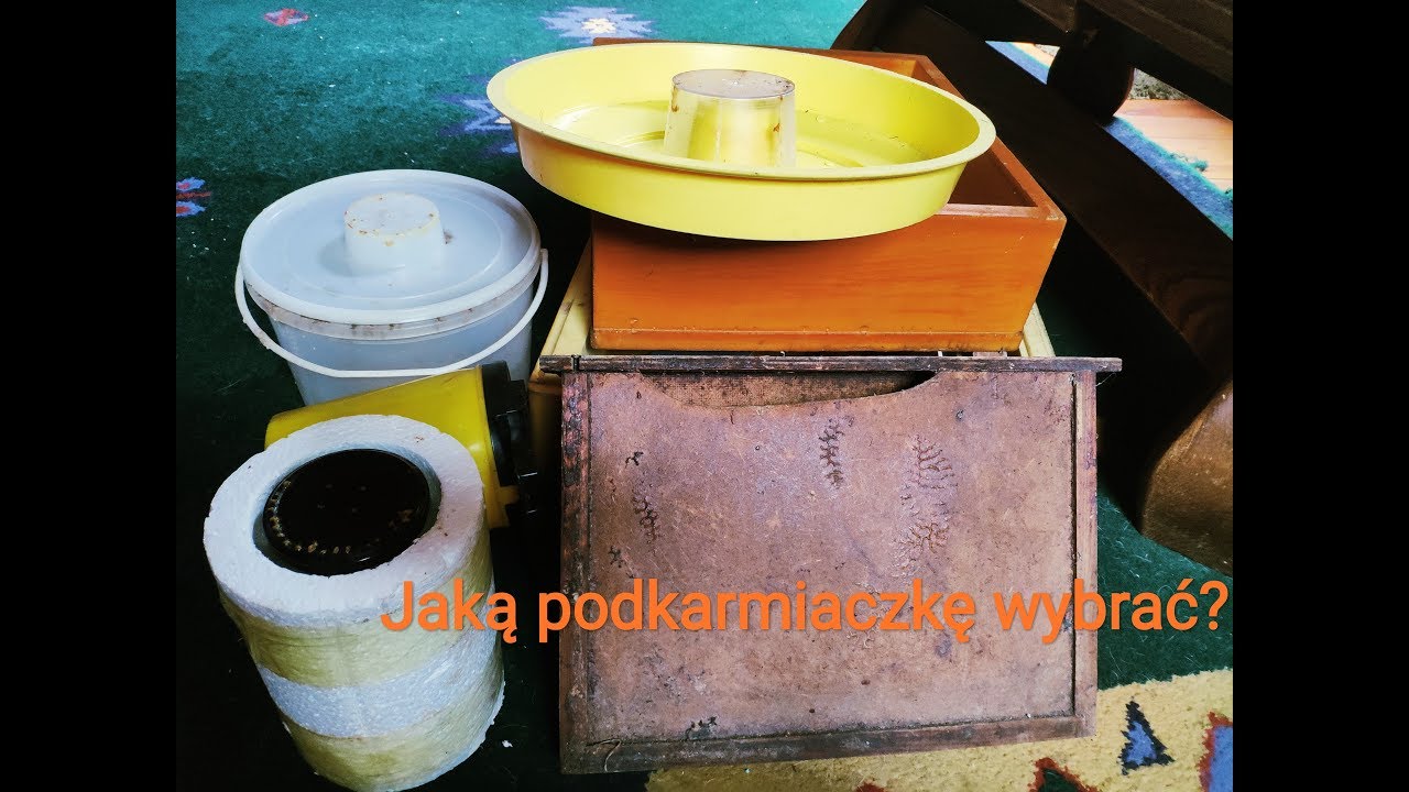 Jaką podkarmiaczkę wybrać?