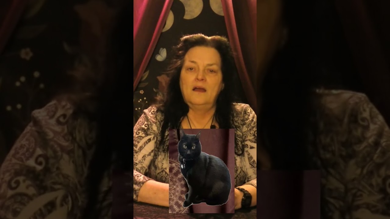 Witchy Tip- Black Cat Superstition - They are not Bad! #shorts #witch #blackcat