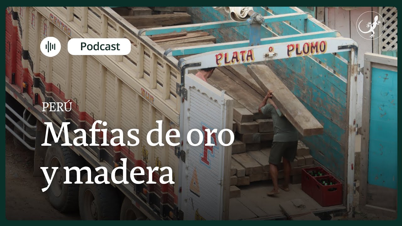 Río Santiago en Perú: la destrucción que dejan mafias de oro y madera