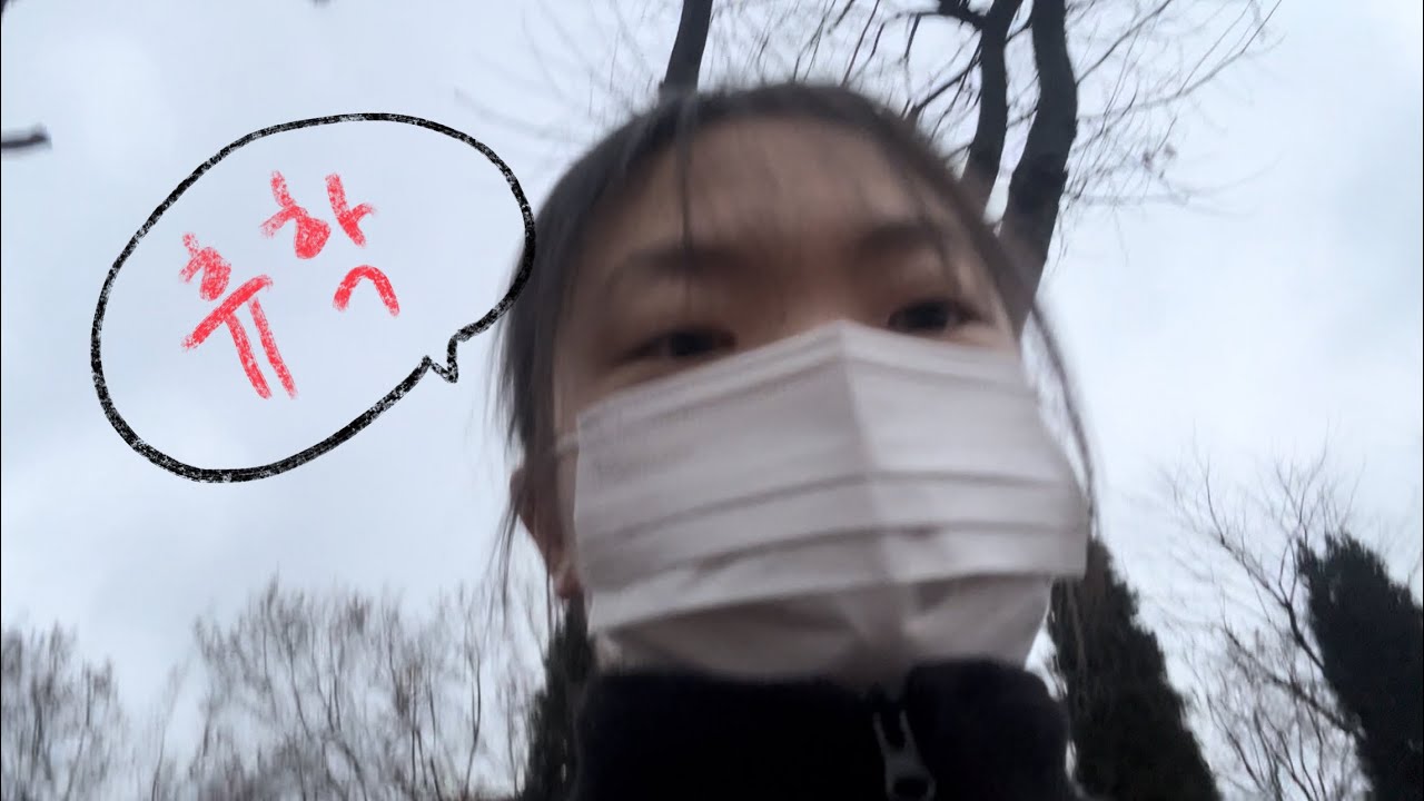 휴학신청했습니다(2월 브이로그)