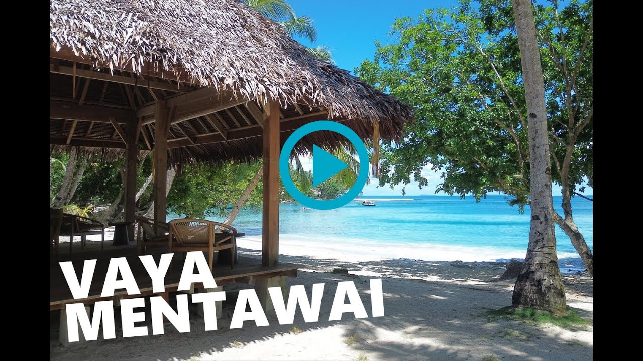 Vaya Mentawai