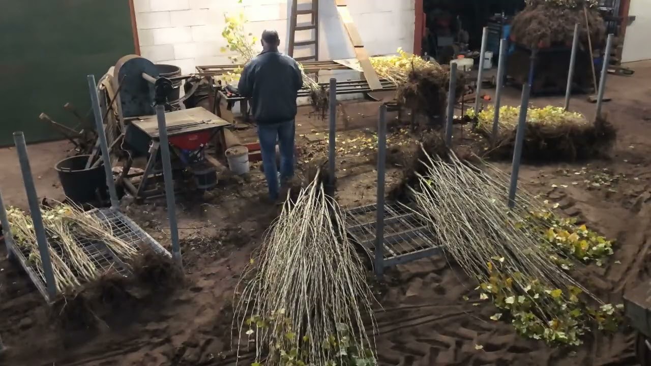 🌳Kwekerijvlog 20🌳