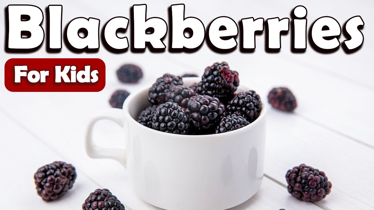 Blackberries for Kids | Learn About Fruit for Kids | Learn about Blackberry for Kids