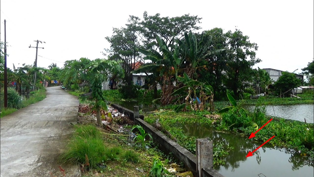 PANTES IKANNYA BESAR BESAR,,,Gak ada orang mancing disini