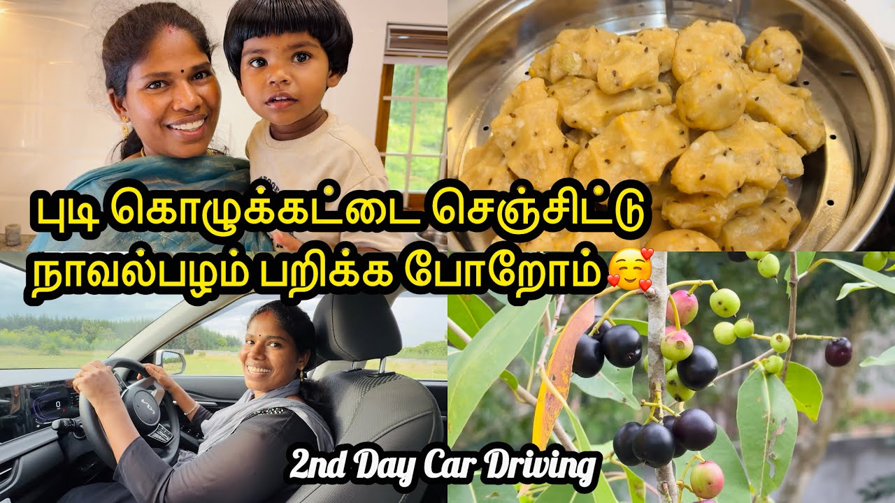 நாவல்பழம் பறிக்க போறோம் 🥰😋| பிடி கொழுக்கட்டை | Second Day Car Driving 🚗 | #Tamilvlog