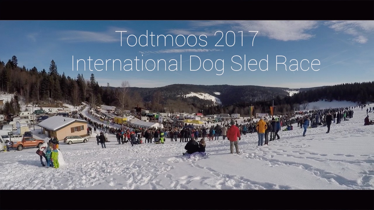 Todtmoos 2017 | International Dog Sled Race | Black Forest