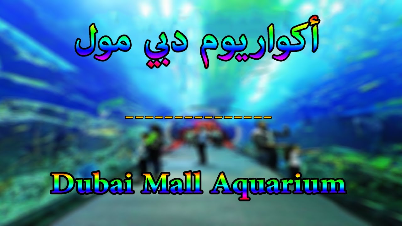 أكواريوم دبي مول !! Dubai Mall Aquarium