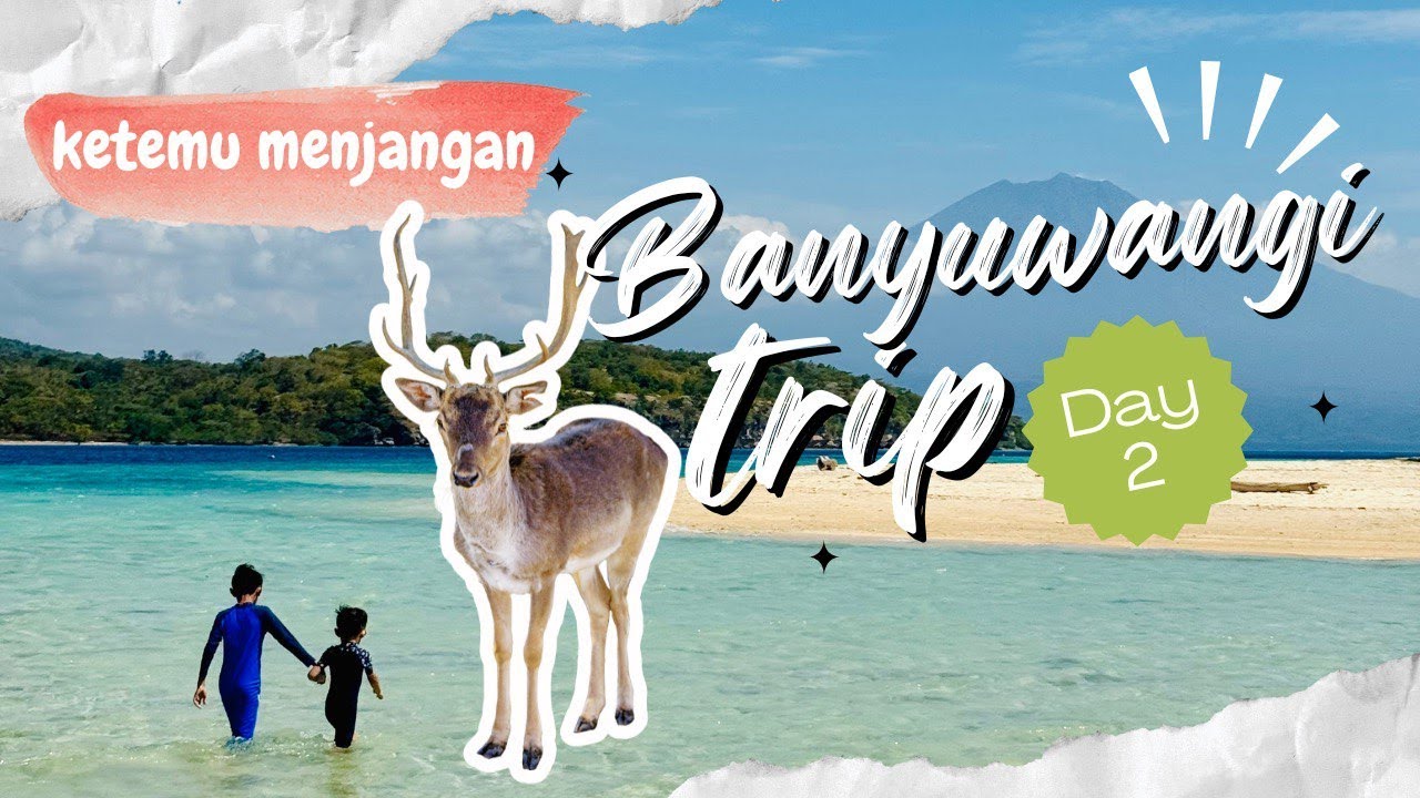 Menjangan Tabuhan - Vlog Santai Banyuwangi (Day 2)