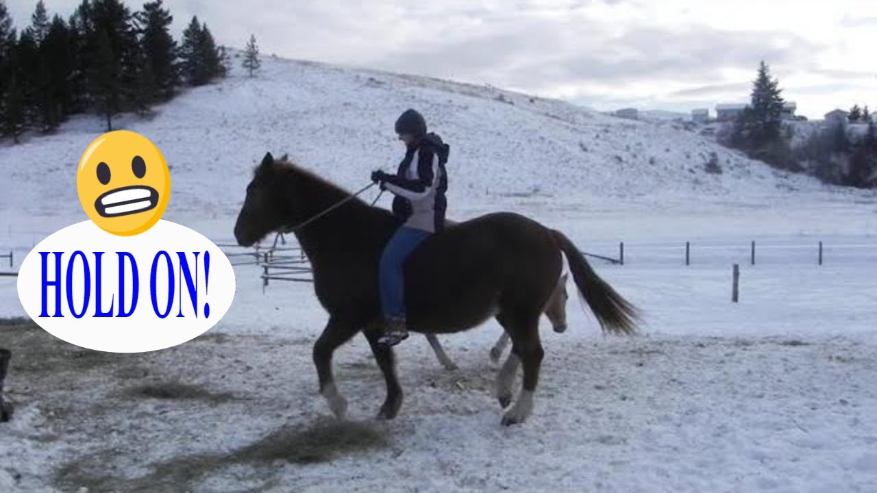 HOW TO CANTER ON A HORSE FOR THE FIRST TIME(SCARED TO CANTER)
