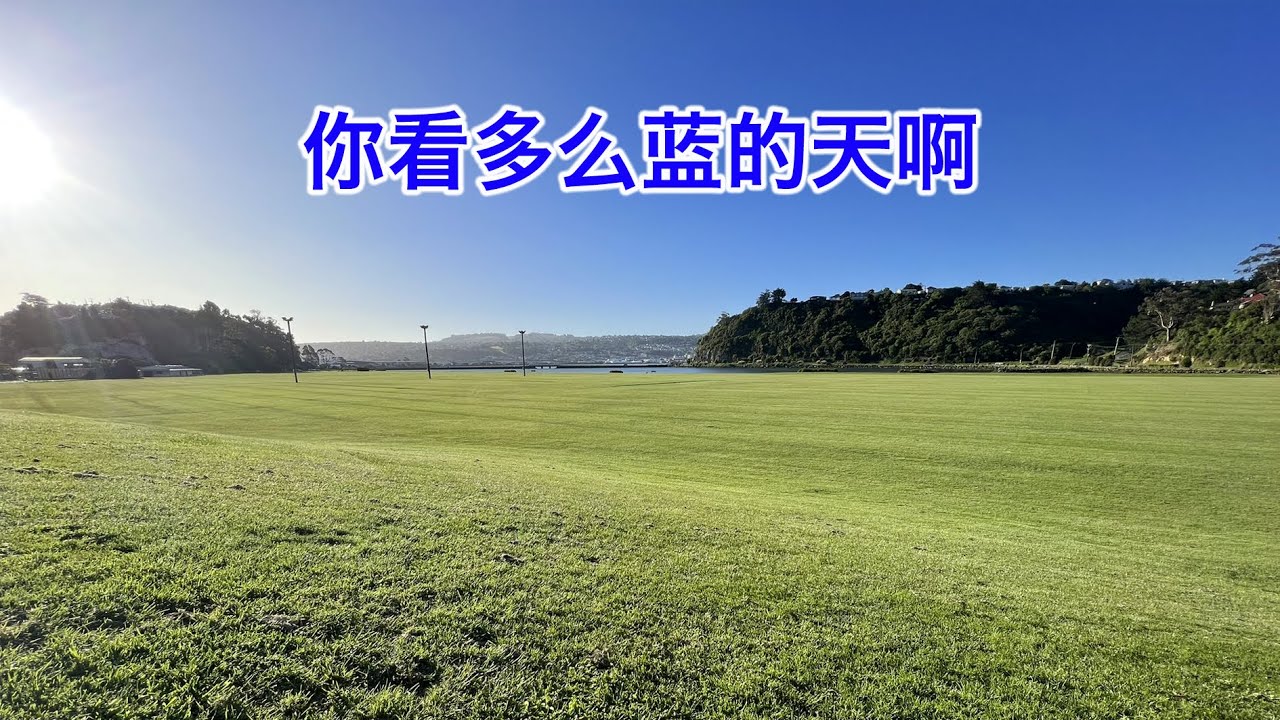 很多润出来的反贼孩子们想不开，想跟他们说两句，希望他们越来越好