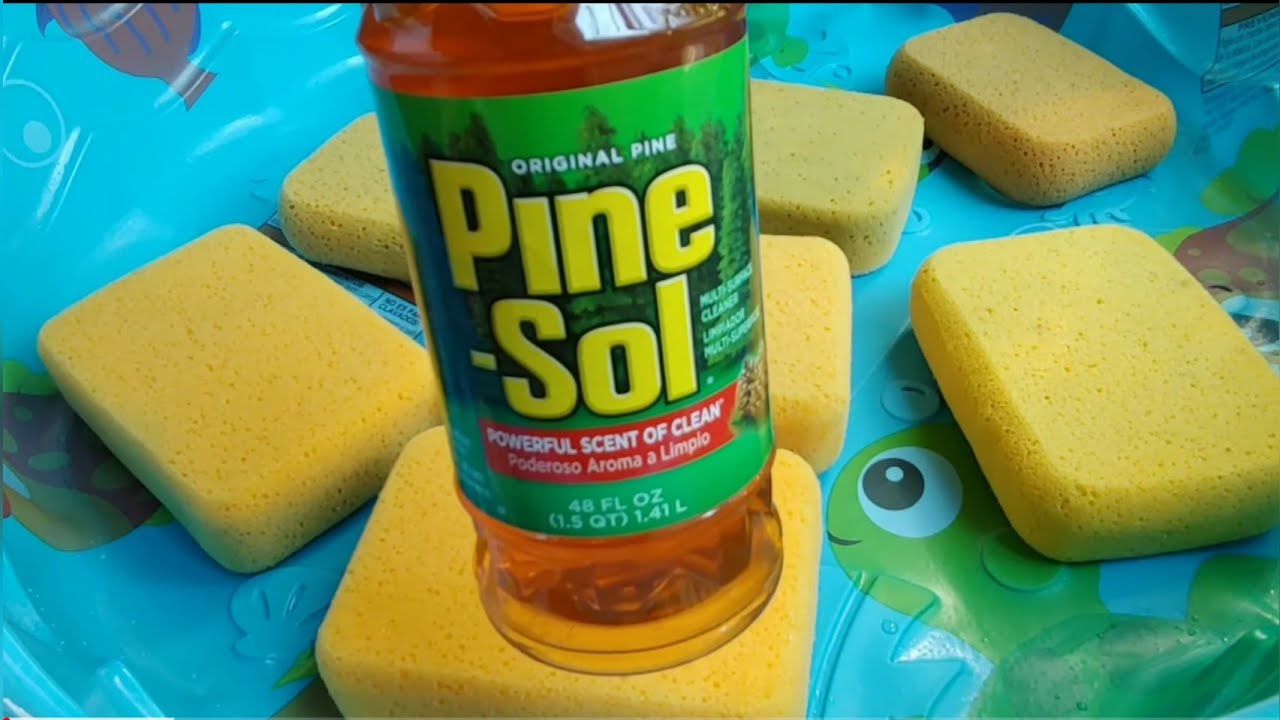 Pine-Sol+Fabuloso pine scent 🌊Sponge Pool