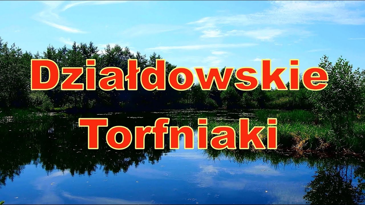 Działdowskie Torfniaki