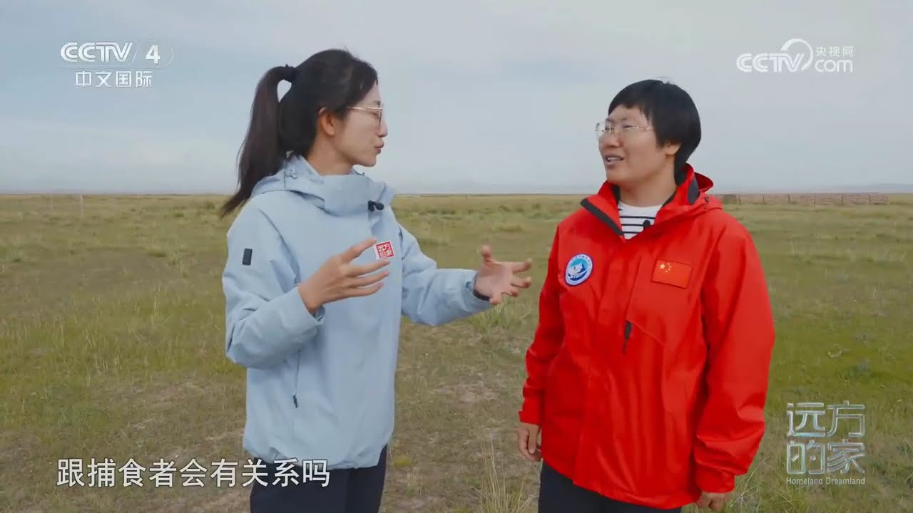 [远方的家]山河锦绣看中国——跃动山海 和谐家园 奔腾在高原上的“精灵” | 中华地图
