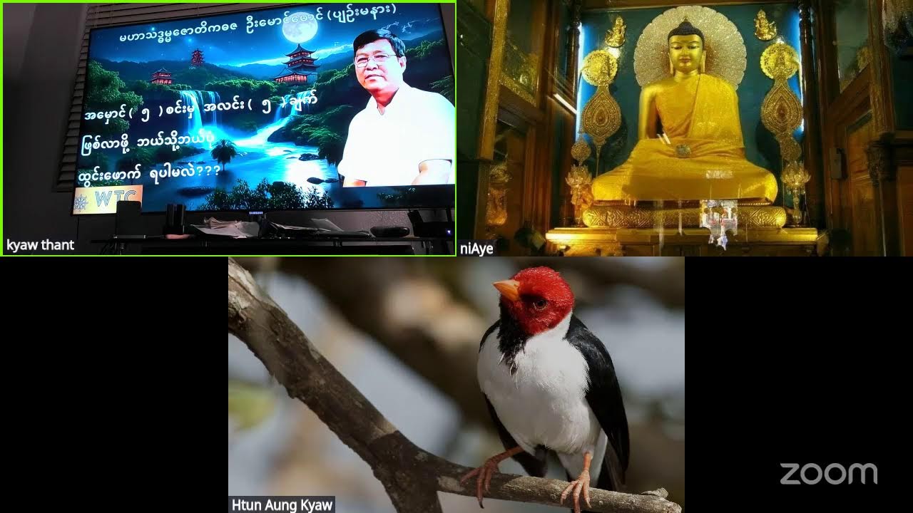 kyaw thant's Personal Meeting Room