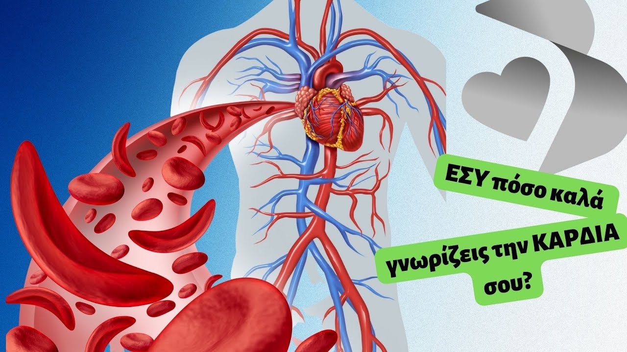 Πως λειτουργεί η καρδιά // The Human Heart // Αθανάσιος Βοσνακίδης