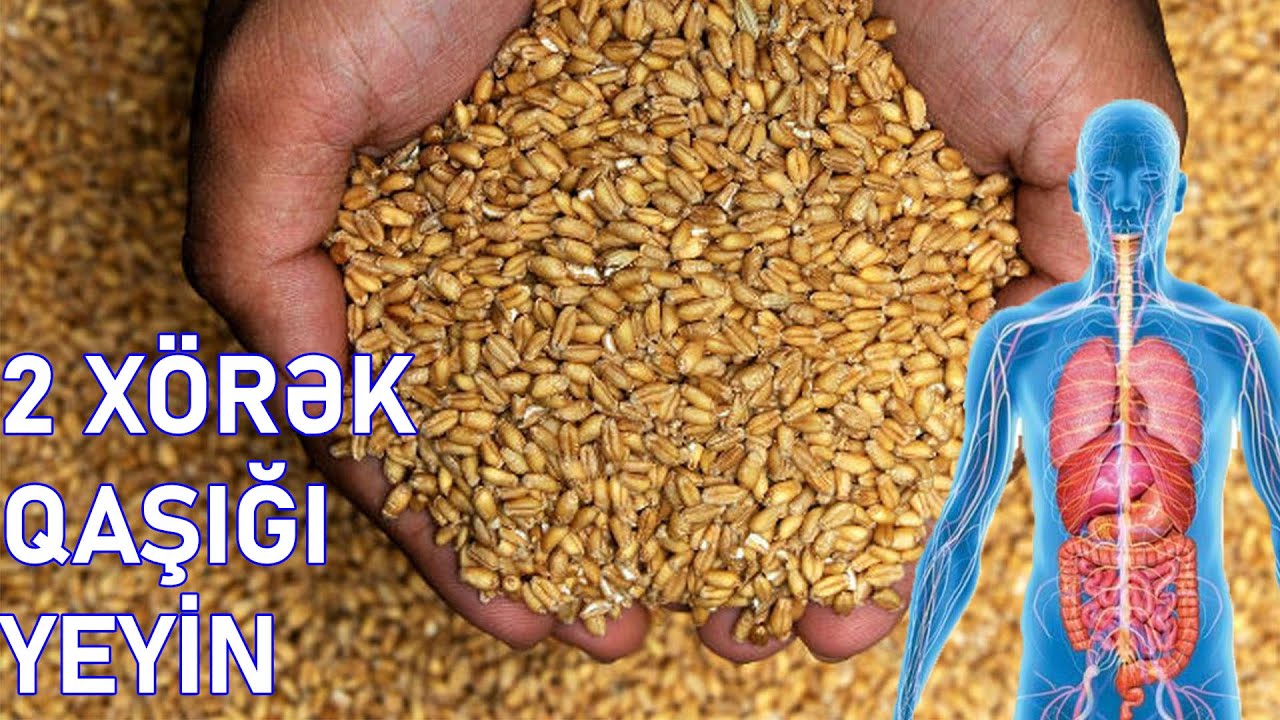 BUĞDA KİMİ ORQANİZM ÜÇÜN FAYDALI BİR BİTKİ YOXDUR