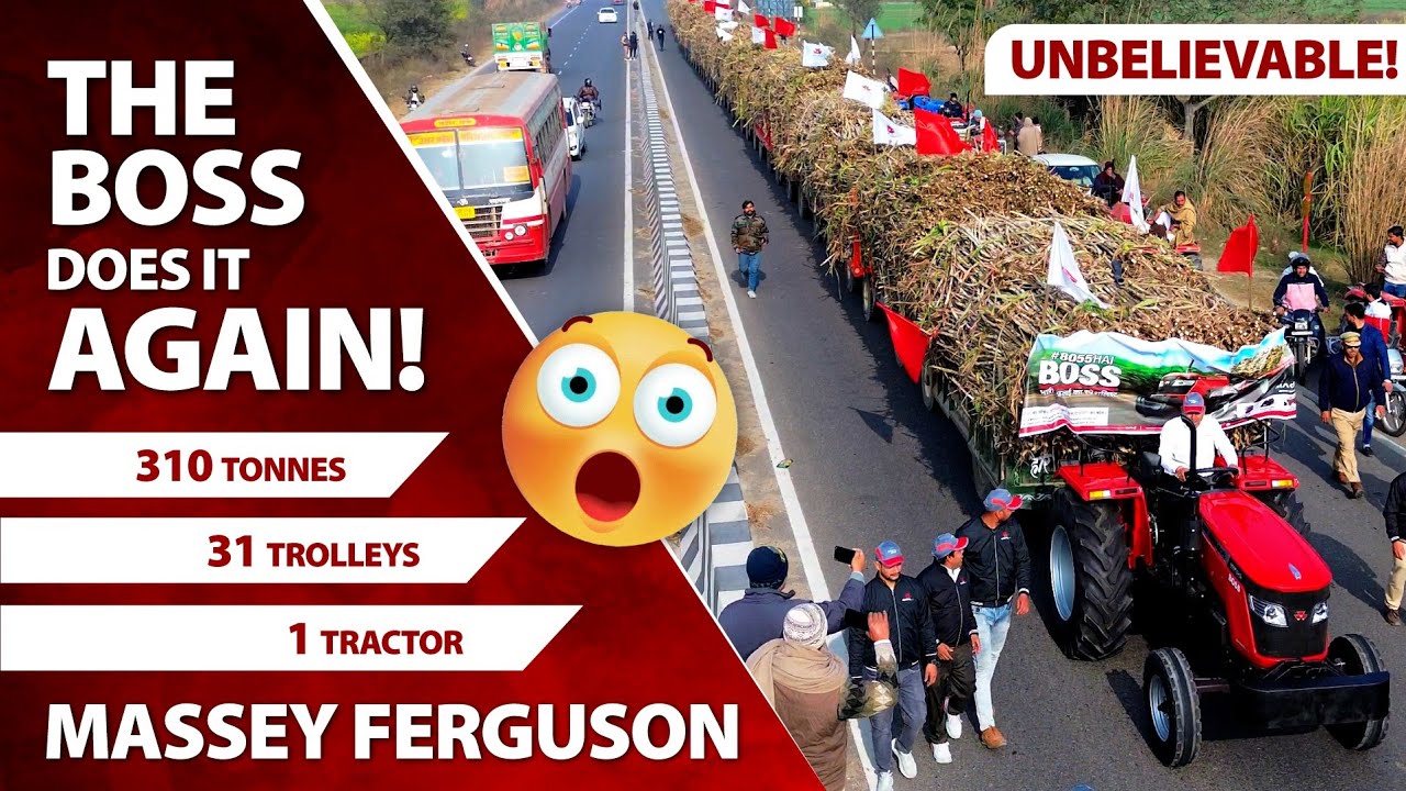 Massey 8055 Boss power performance 31 ट्रॉली का लोड एकसाथ,
