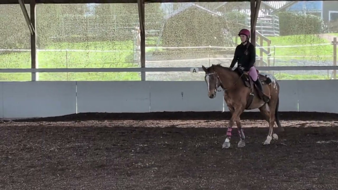 Ericka Davis & Bambi - WDAA Intro Test 2 - LPSDC March Virtual Show