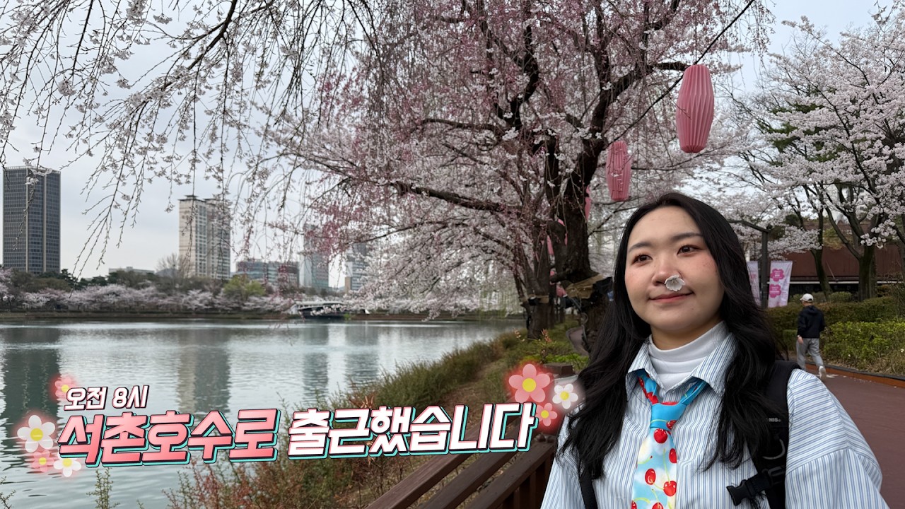 🌸석촌호수 벚꽃! 지금이니?!! 오전8시 석촌호수로 출근하는 공무원🙋&zwj;♀️ D-2 #벚꽃축제
