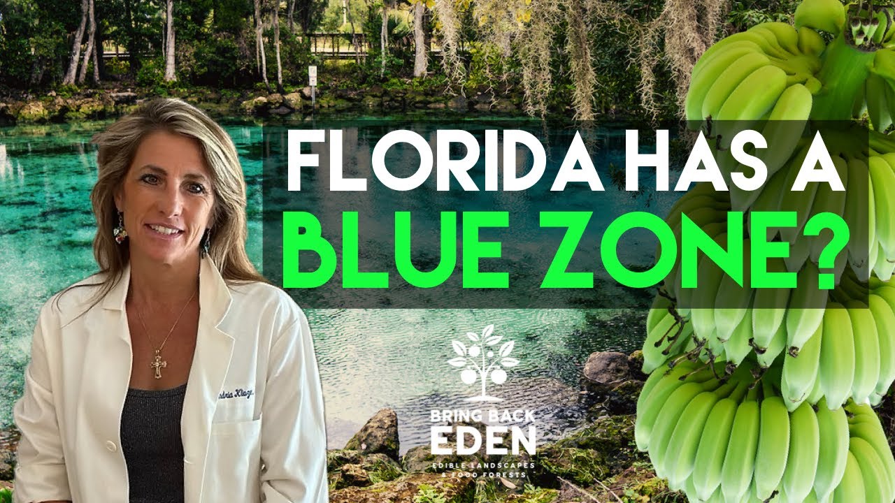 Florida's Emerging Blue Zone: M.D. Approved Healing Food Forest in Ormond Beach
