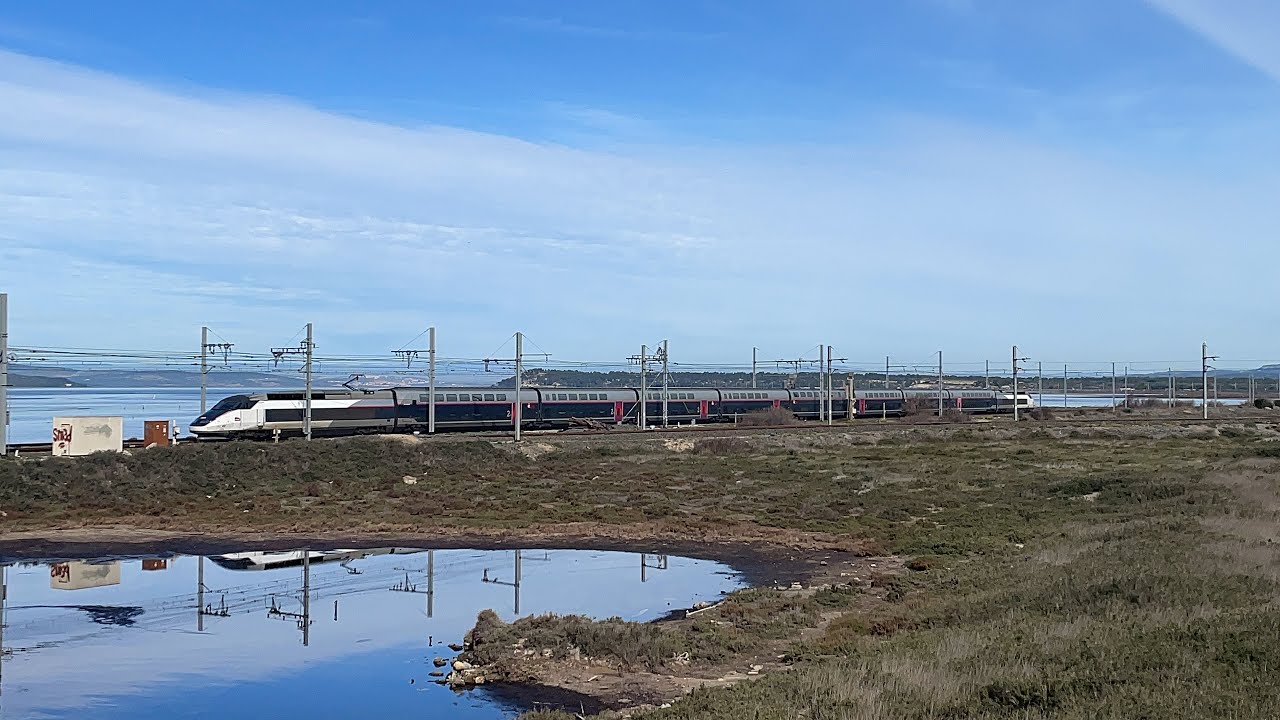 Spot hivernal à Port la Nouvelle (partie 2)