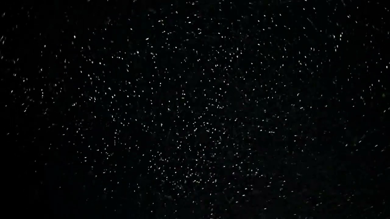 Swirling Bright Waterdrops in Curved Air