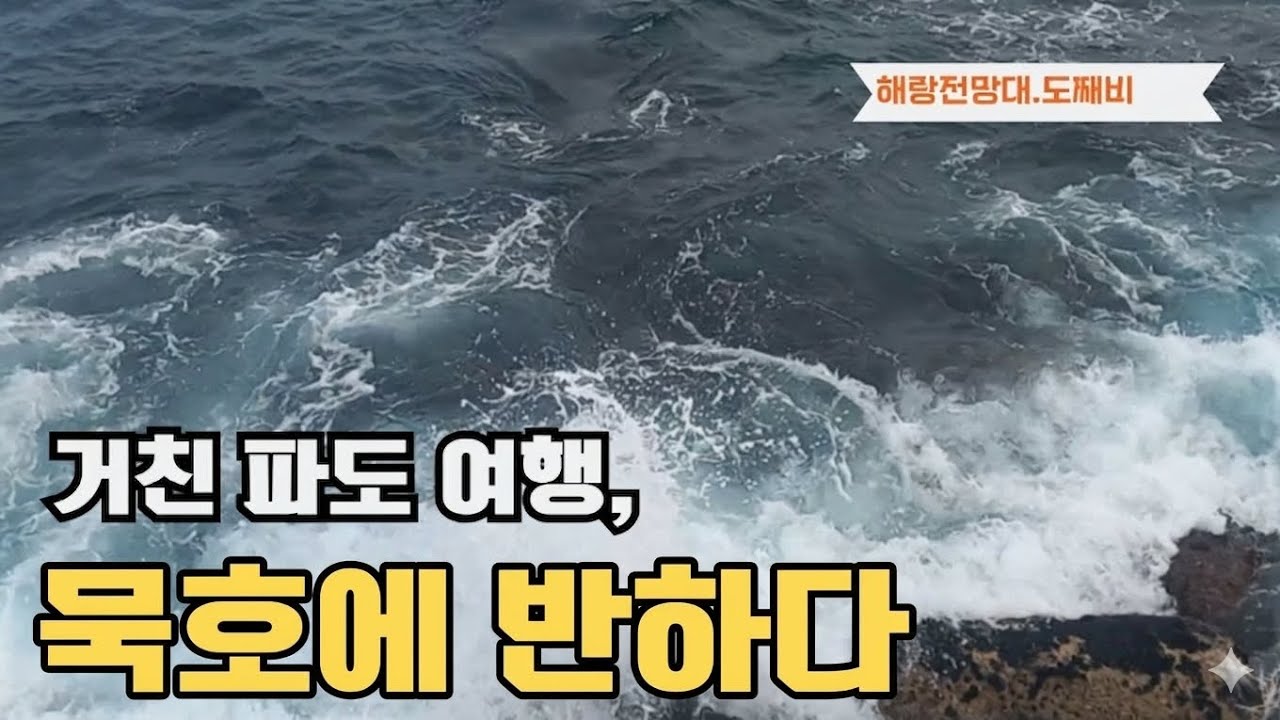 거친 파도 여행, 묵호에 반하다 #묵호여행 #동해 #파도 #바다 #바다멍 #해랑전망대 #도째비스카이밸리 #파도소리