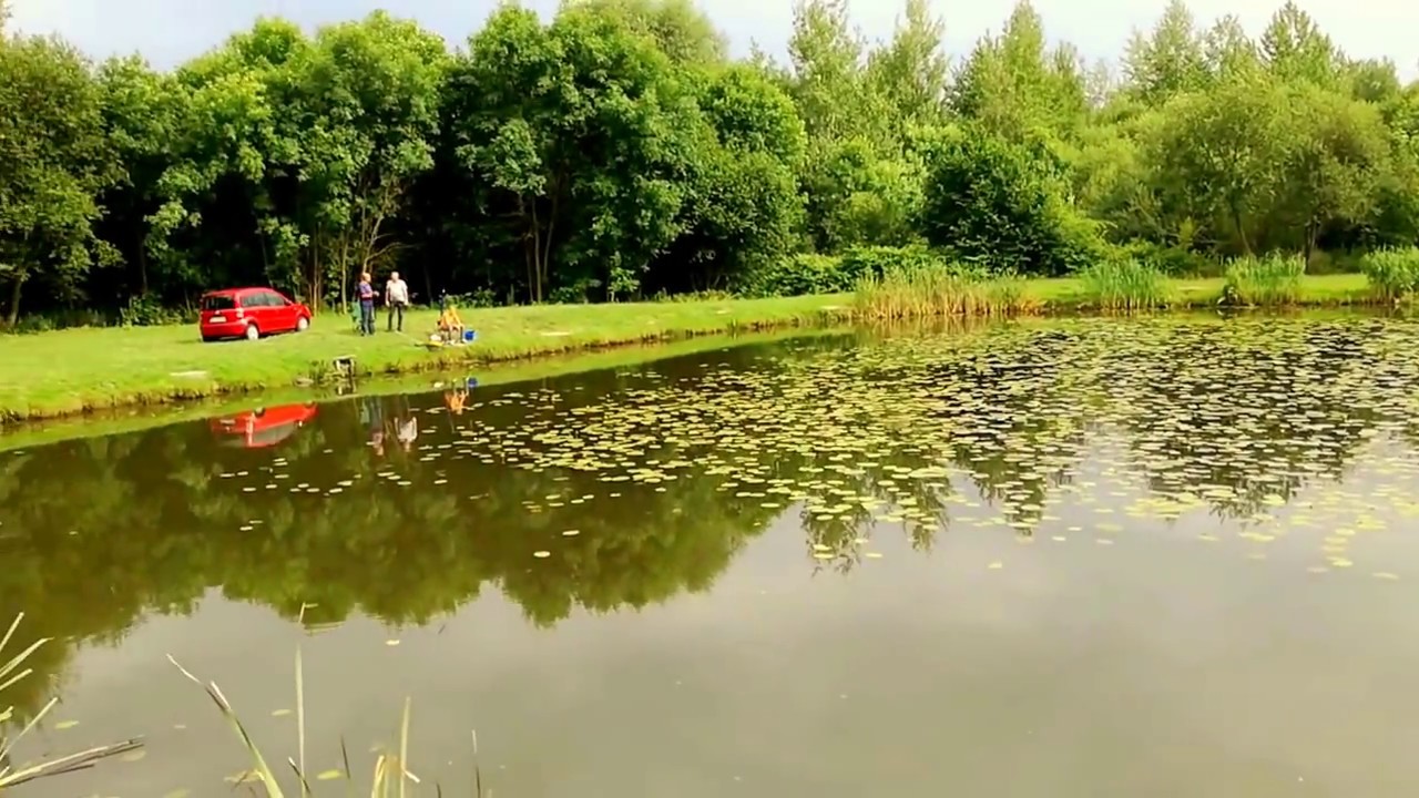 ŁOWISKO PZW KATOWICE NR 806 - LIPKA