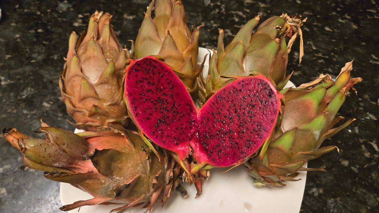 Dragon fruits Tricia and Asunta 6 comparison. 