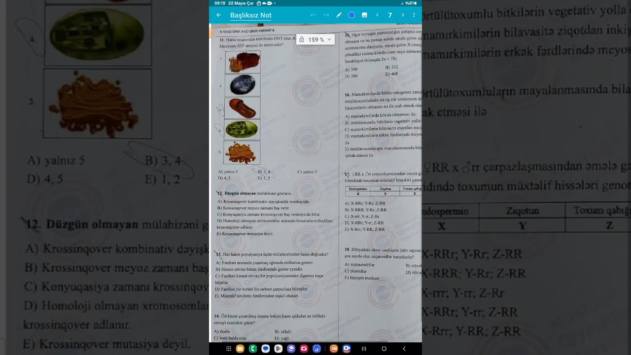 19.05.2024 Kainatın otk sualları Biologiya